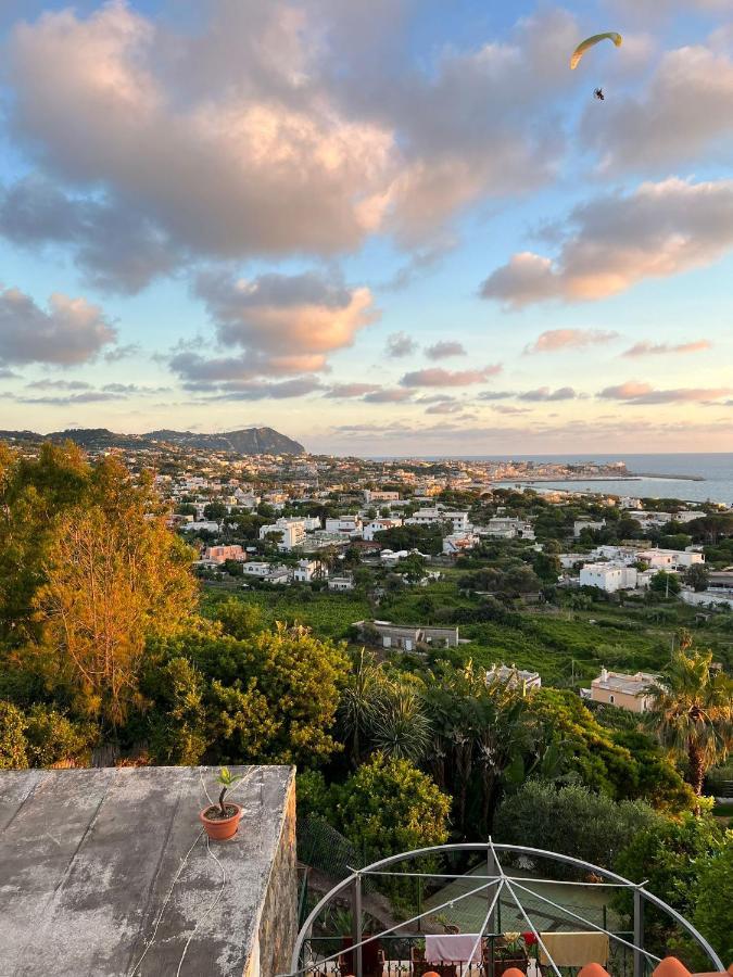 לינה וארוחת בוקר Forio di Ischia Blu Panorama מראה חיצוני תמונה