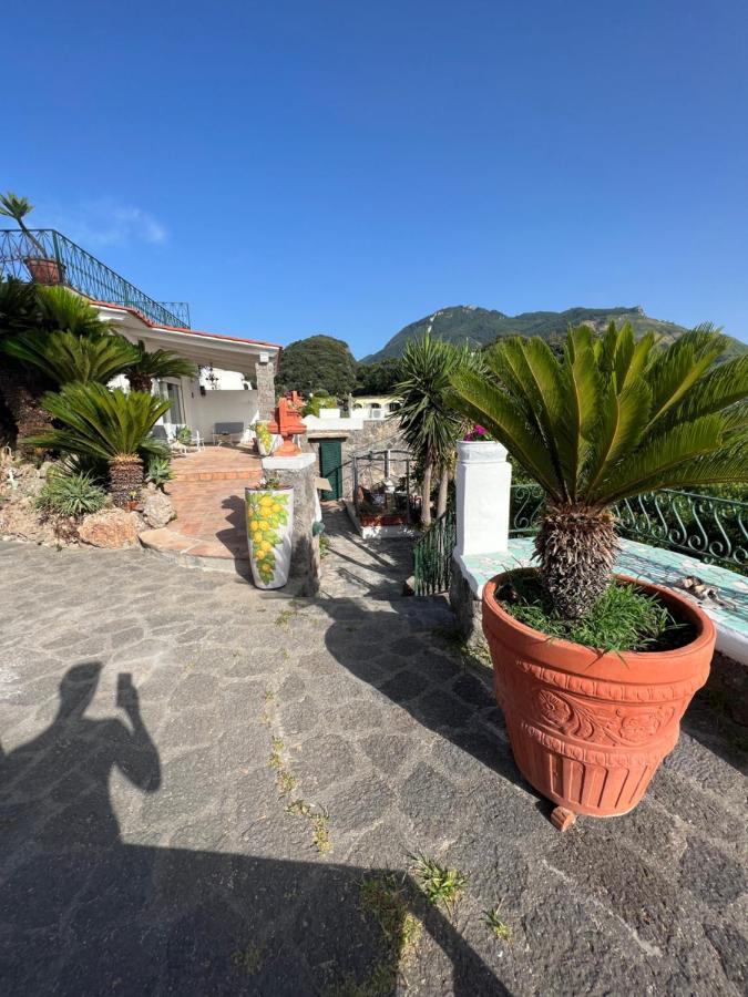 לינה וארוחת בוקר Forio di Ischia Blu Panorama מראה חיצוני תמונה