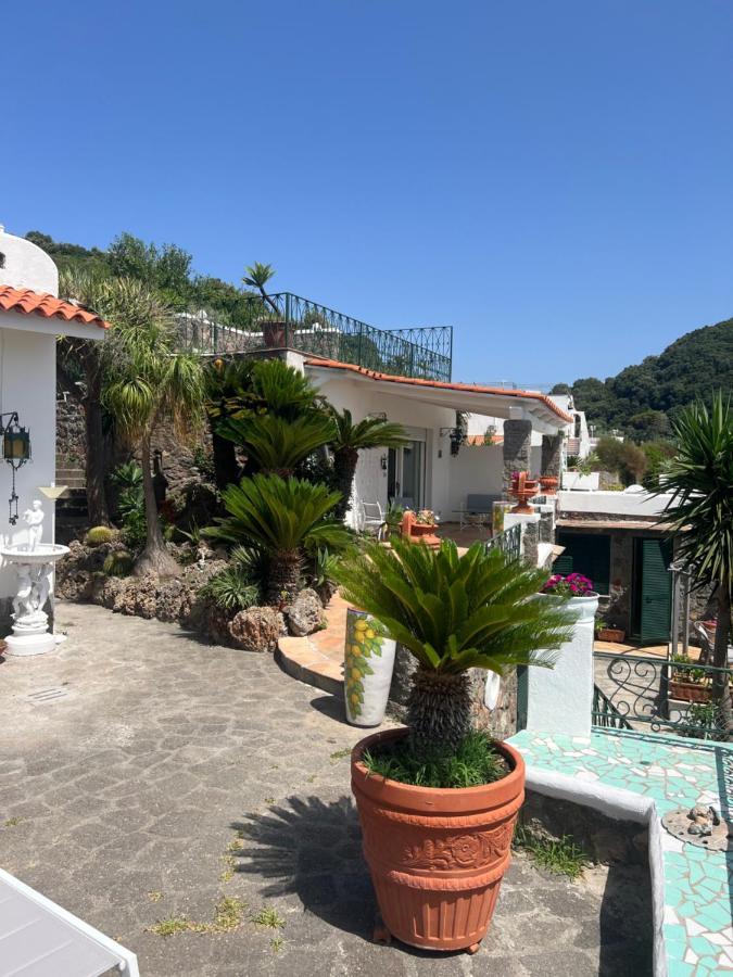 לינה וארוחת בוקר Forio di Ischia Blu Panorama מראה חיצוני תמונה