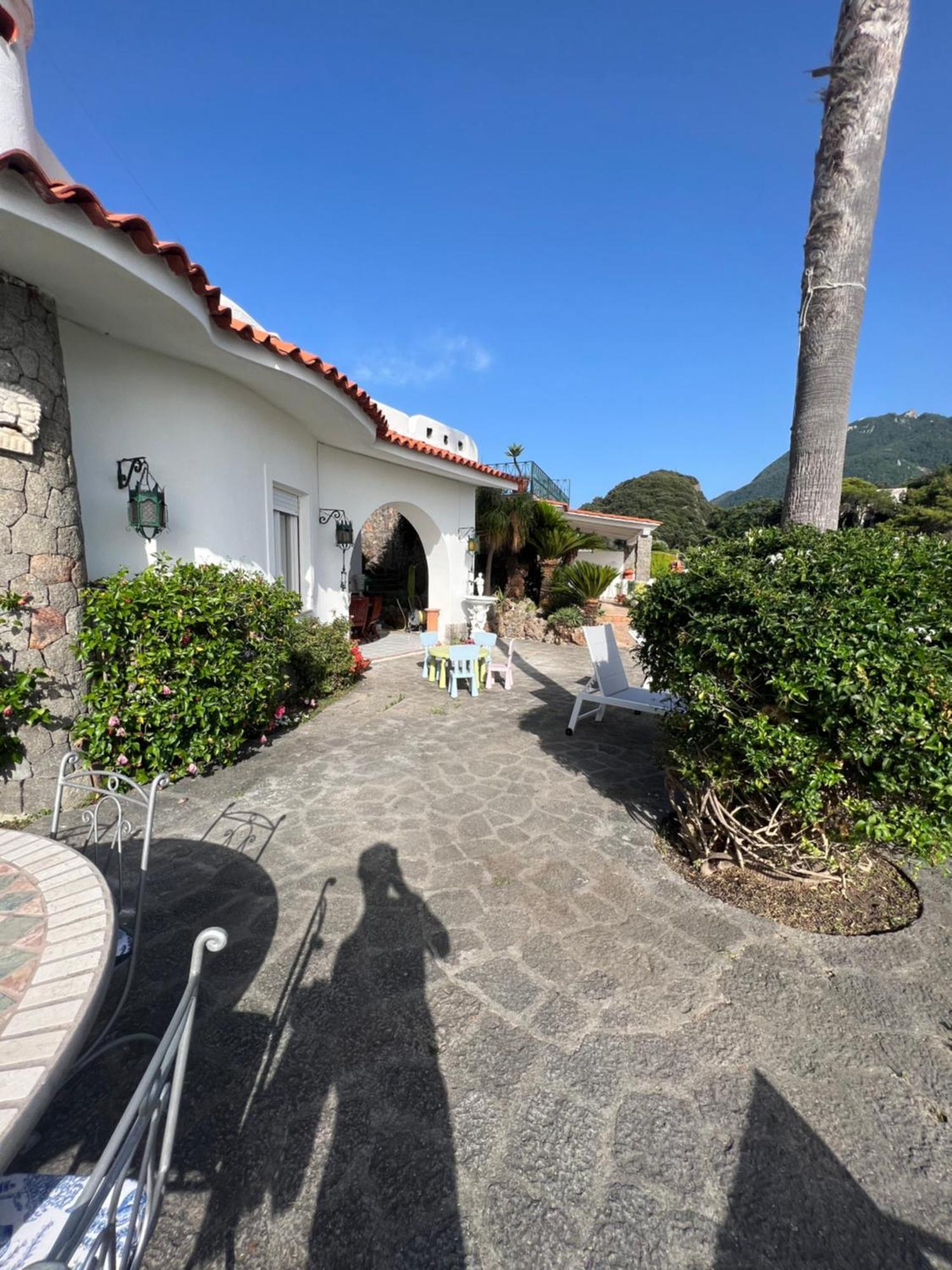 לינה וארוחת בוקר Forio di Ischia Blu Panorama מראה חיצוני תמונה